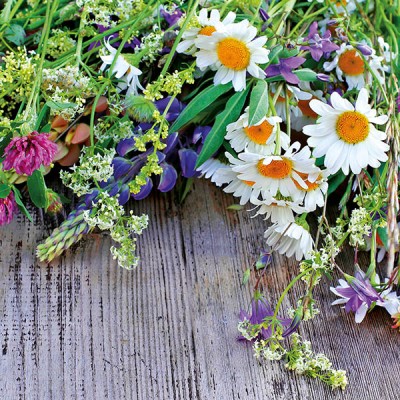 MODERN WILDFLOWER SEED MIXES