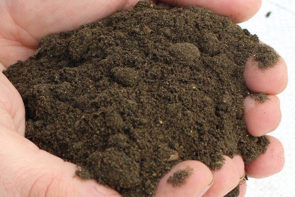 Low Fertility Topsoil