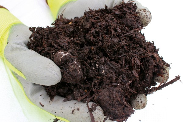 Organic Mushroom Compost