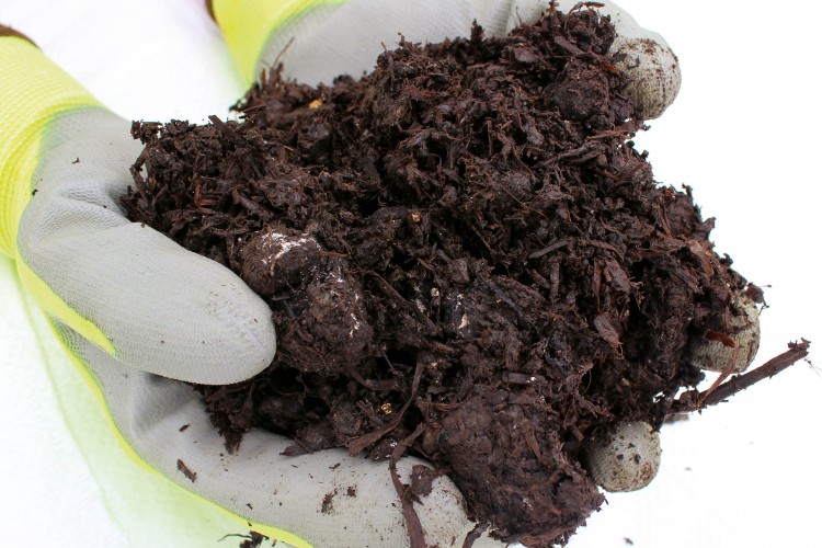 Organic Mushroom Compost