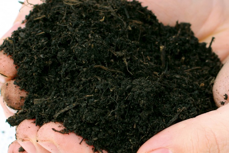 Organic Soil Conditioner