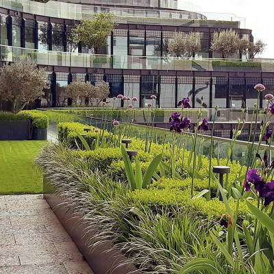 GREEN ROOF SOILS