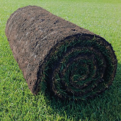 LAWN TURF, FERTILISERS & LAWN FEEDS