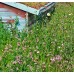 Traditional Meadow Wildflowermat